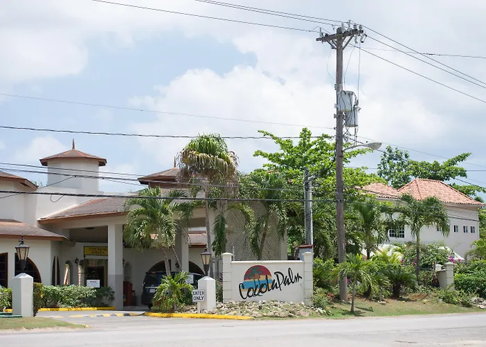 Coco La Palm